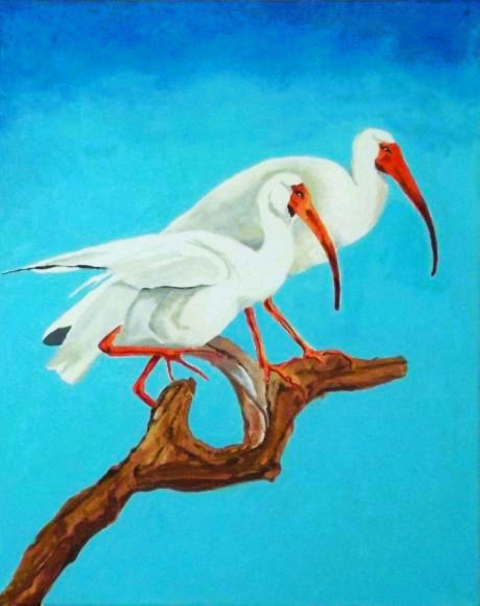 Animal Acrylic Painting By Andrew Sabori, 16 X 20, Egrets On A Branch, Original Artwork