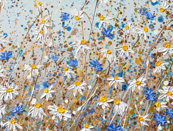 Daisies in September