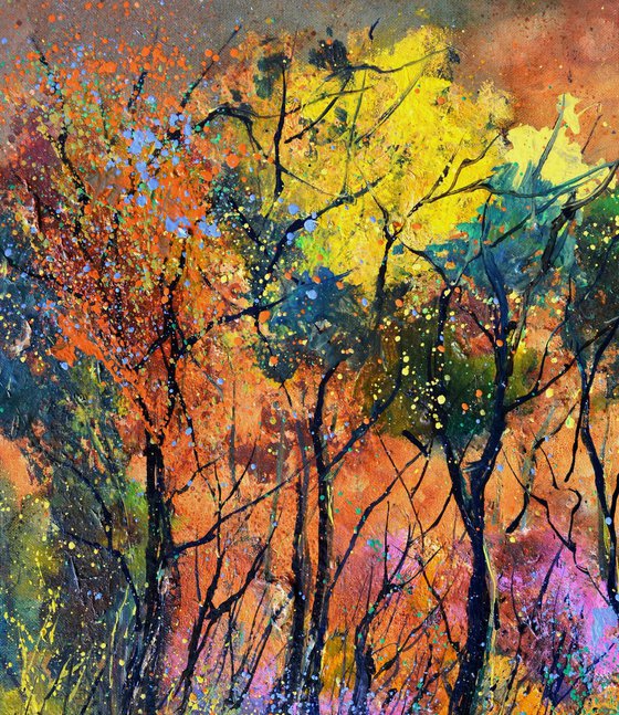 Colourful forest scenery
