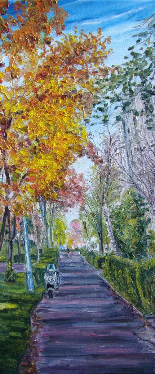 Sunny day by Olga Knezevic