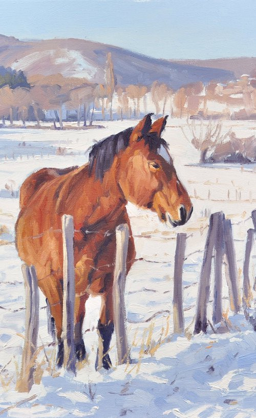 Horse in the meadow, snow by ANNE BAUDEQUIN