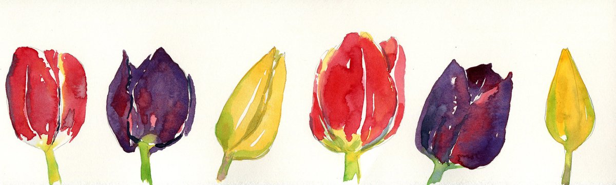 Line of tulips by Hannah Clark