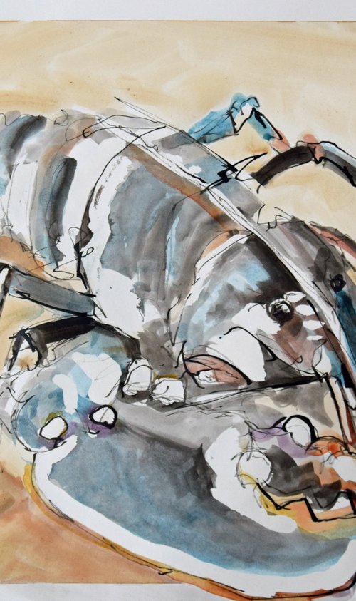 PIL 42 x 59cm, ink and watercolour on paper by Michelle Parsons