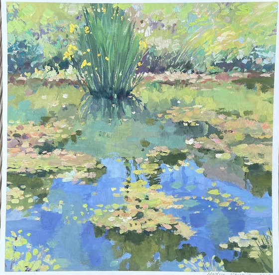 Summer pond echo
