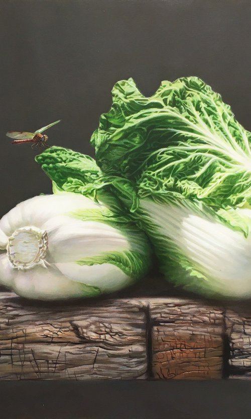 Chinese cabbages c245 by Kunlong Wang