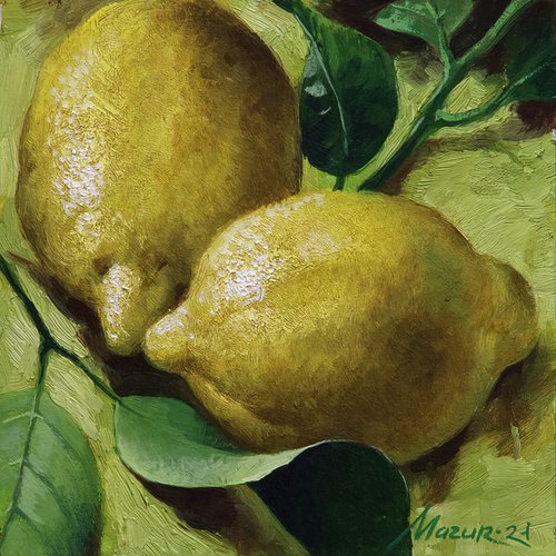 Two Lemons by Nik Mazur