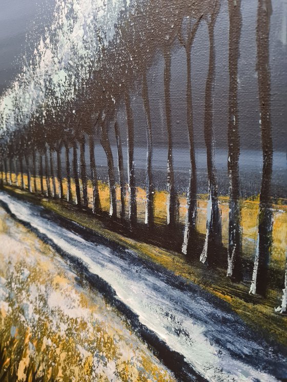 In the land of Ice III-  Fields and Colors Series