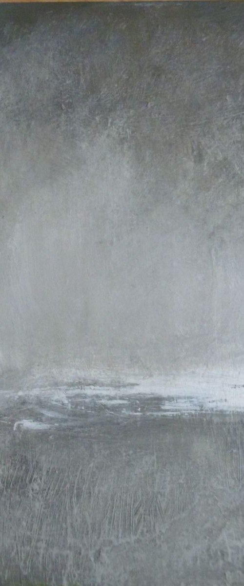 Winter Storm by Fiona Philipps