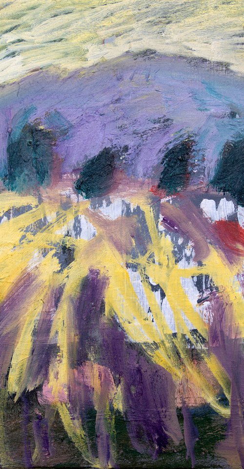 Lavender Meadows by Elizabeth Anne Fox