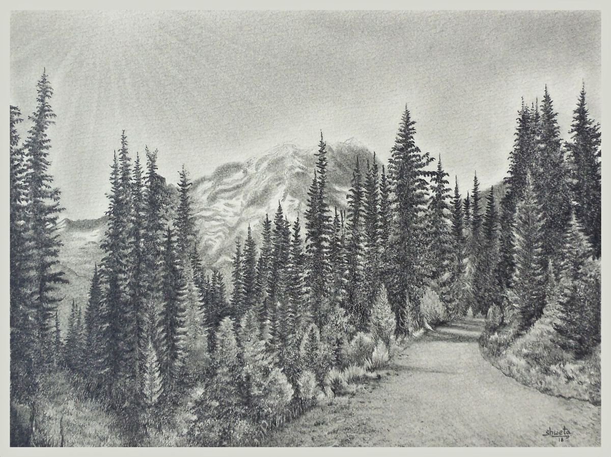 Road to Mount Rainier Pencil Drawing by Shweta Mahajan