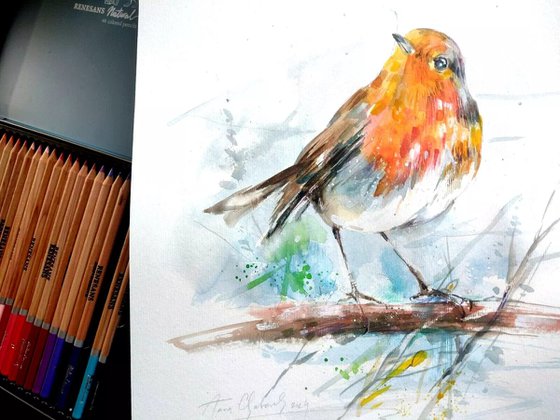 Robin watercolour