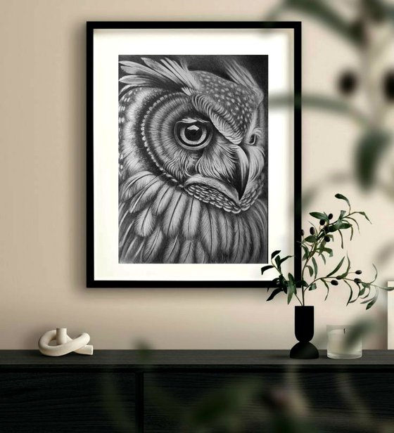 Owl