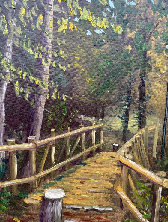 Autumn in Dutch forest