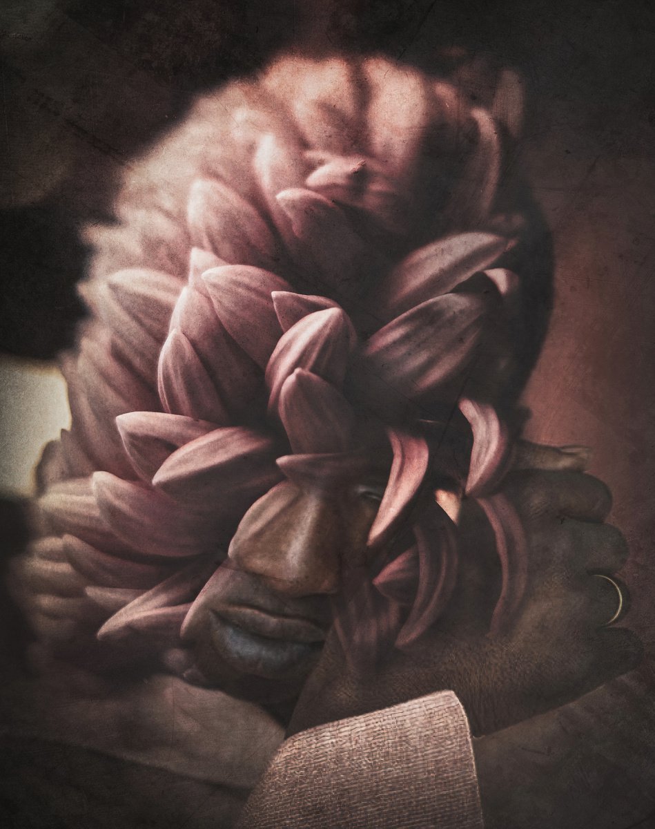 Botanical collection Vol 43. Flower bud. Art portrait on canvas by Elmira Namazova