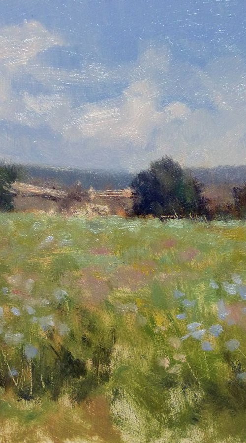 Early Spring in Provence by Pascal Giroud
