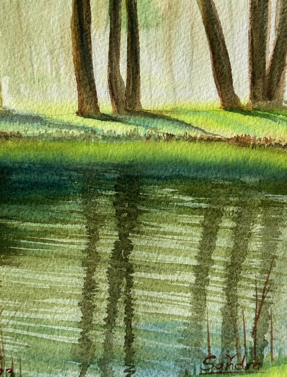 Green Reflections of Spring