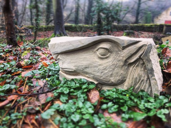 A Horse In Stone