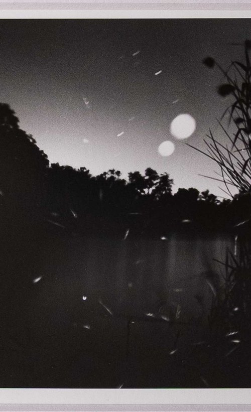 Fireflies by Francesco Mussida