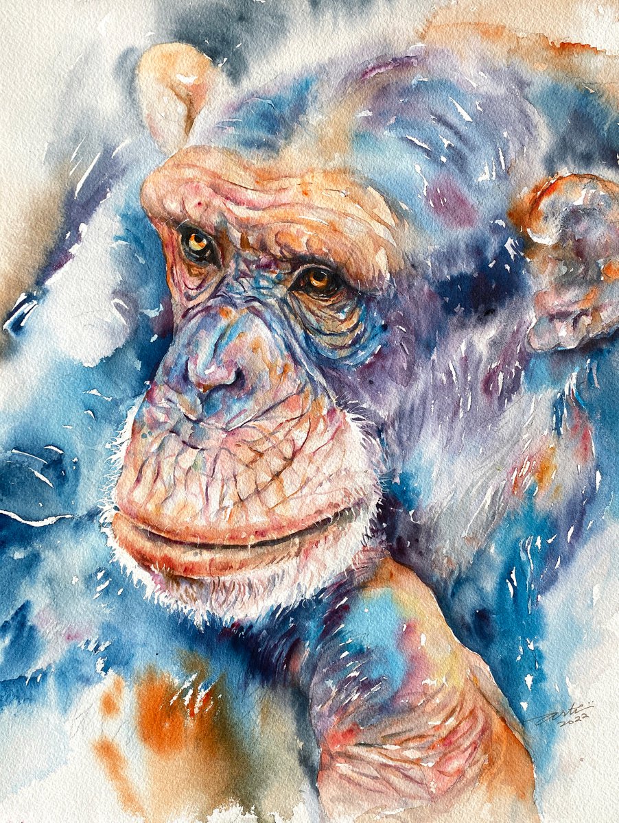 Silent Thoughts_Chimpanzee Portrait by Arti Chauhan