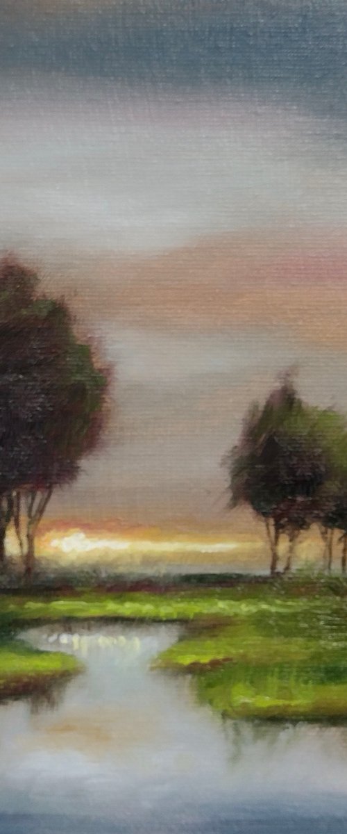 Sunset trees by Jane Palmer Art