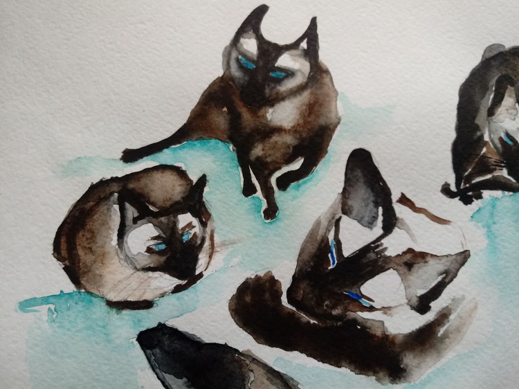 Siamese Cat Sketches Watercolour By Jelena Nova Artfinder