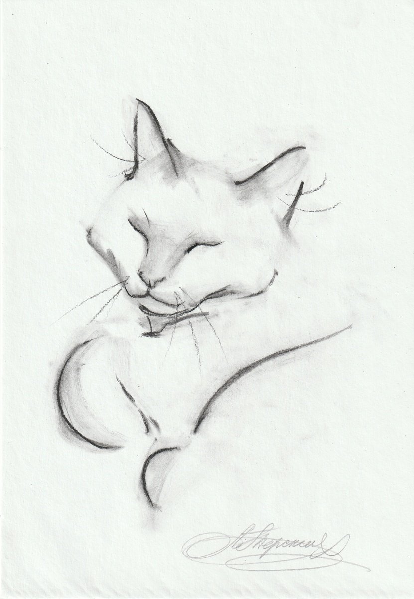 Animal Charcoal Drawing By Anastasia Terskih, 7 X 12, Cat, Original Artwork