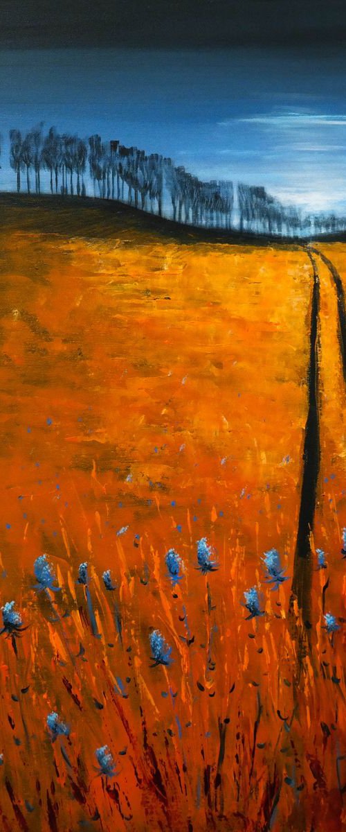 Dream Fields- Fields and Colors Series by Danijela Dan