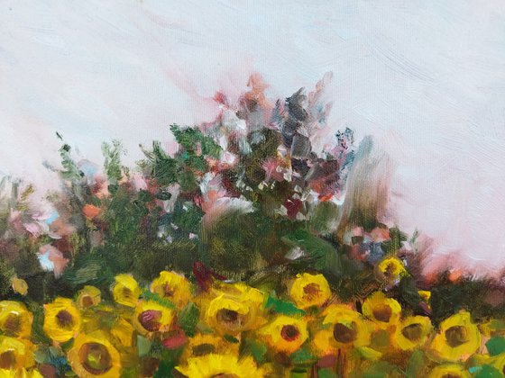 Field of Light