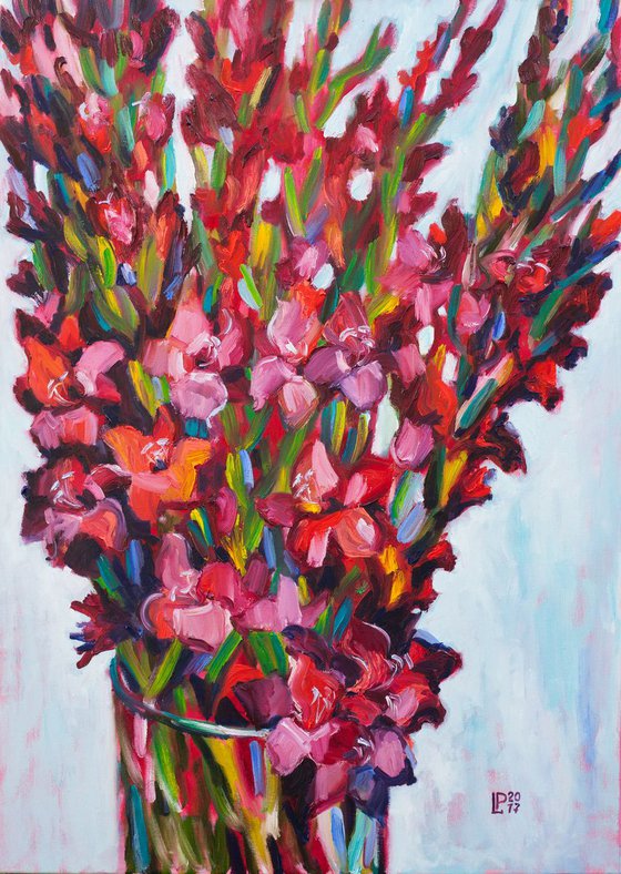 Gladioli