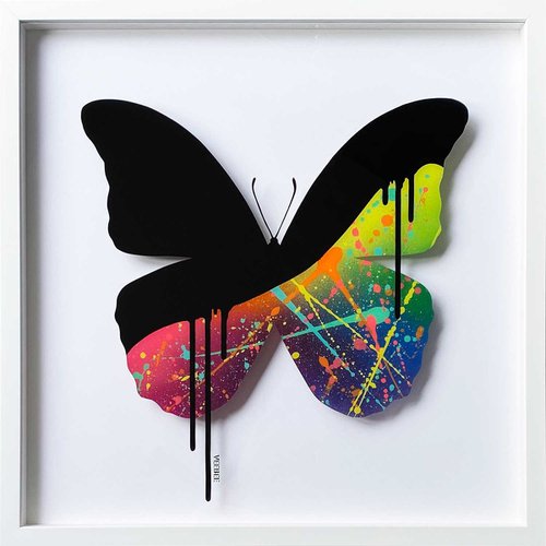 Glass Butterfly (Rainbow) by Veebee .