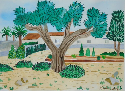 Olive tree in  Carabineros Jardin by Kirsty Wain