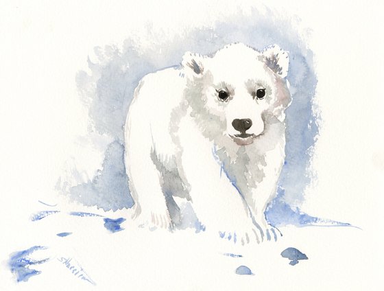polar bear, baby beart