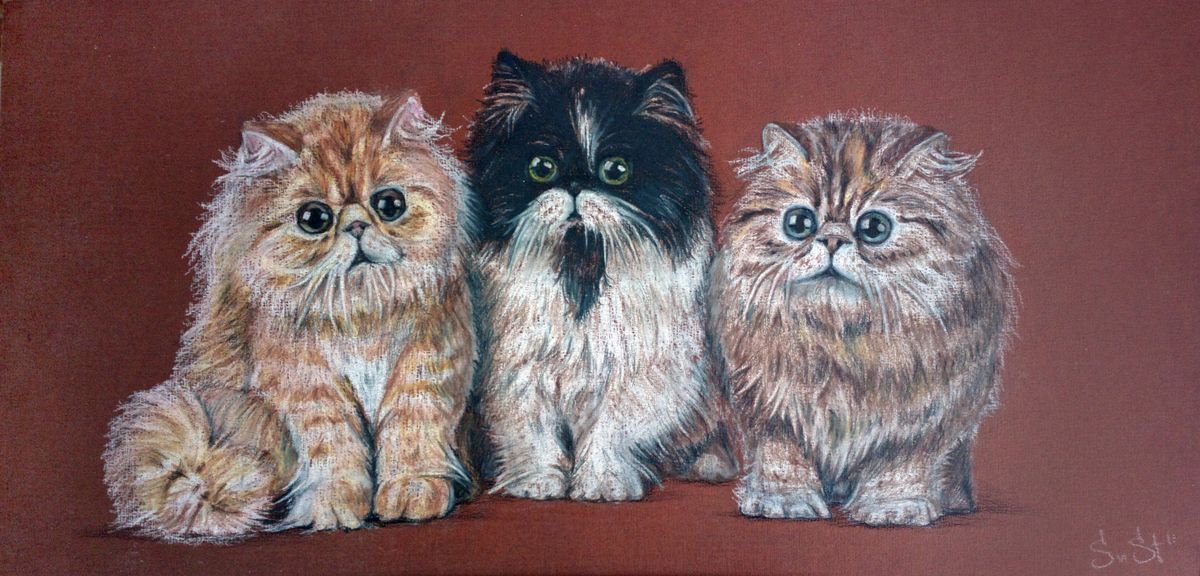 Three Kittens. by Suzana Stanoeva