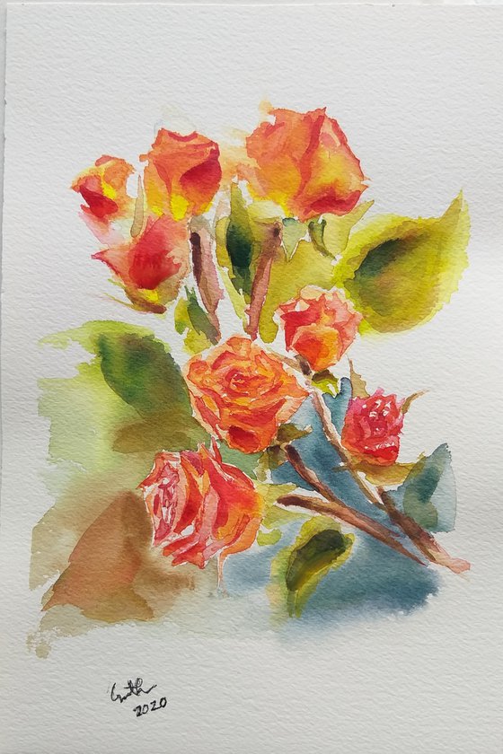 Roses in watercolor