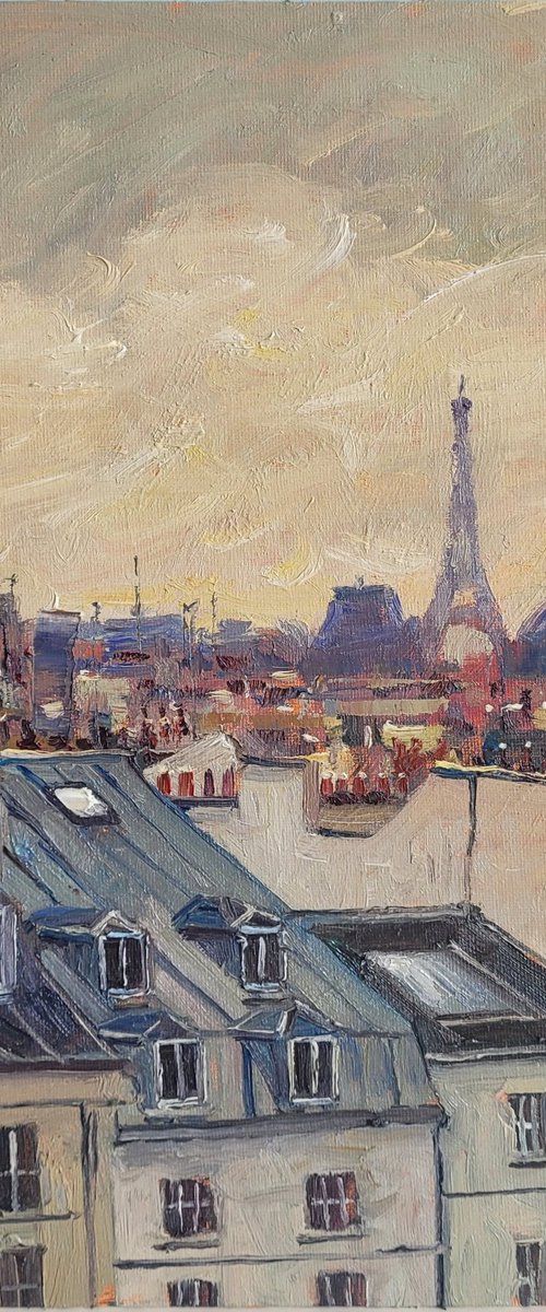 Paris rooftops by Roberto Ponte