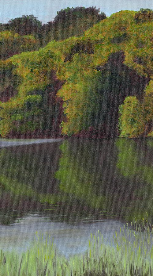 Weir Wood: Ashdown Forest Landscape by Chris Marshall