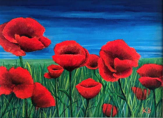 Poppy Field 3