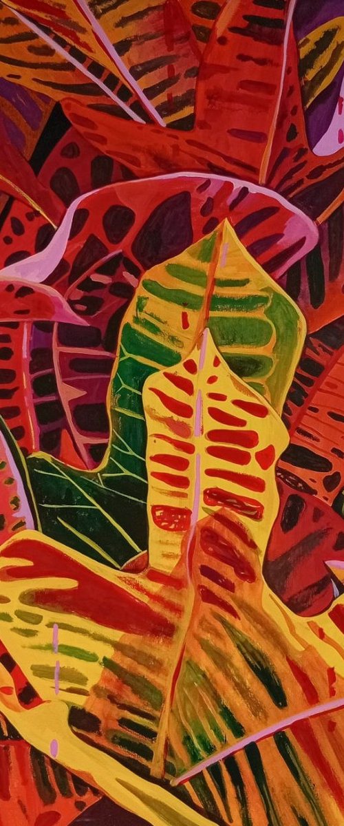 Crotons at sunset by Tanita Veranes