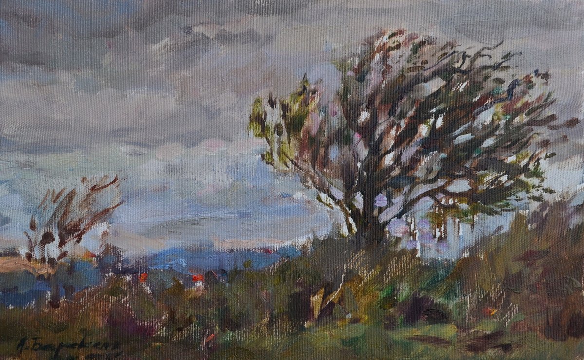 Impressionistic Landscape Oil Painting By Andriy Berekelia, 16 X 10, Windy Hills, Original Artwork