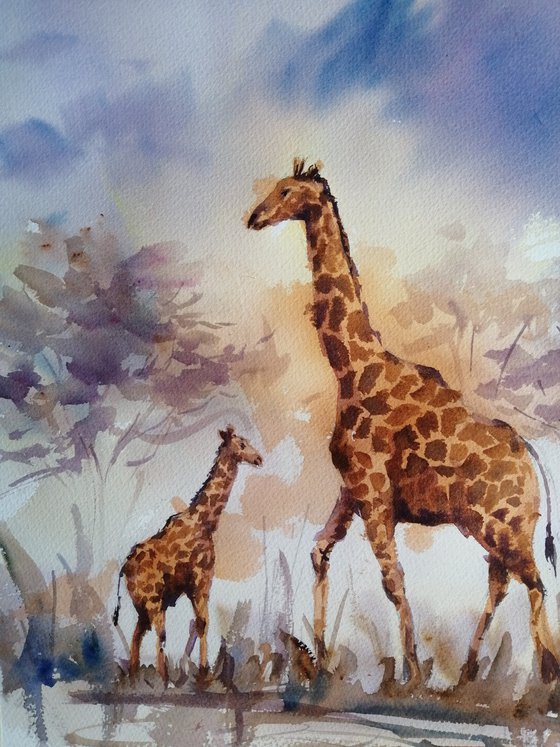 giraffes 7