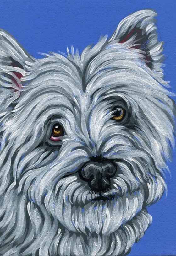 ACEO ATC Original Miniature Painting Westie West Highland Terrier Pet Dog Art-Carla Smale