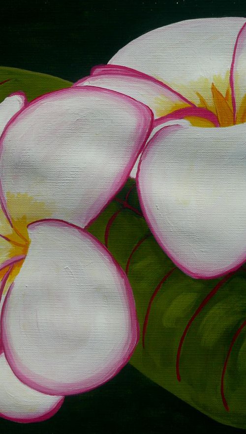 Plumeria by Dunphy Fine Art