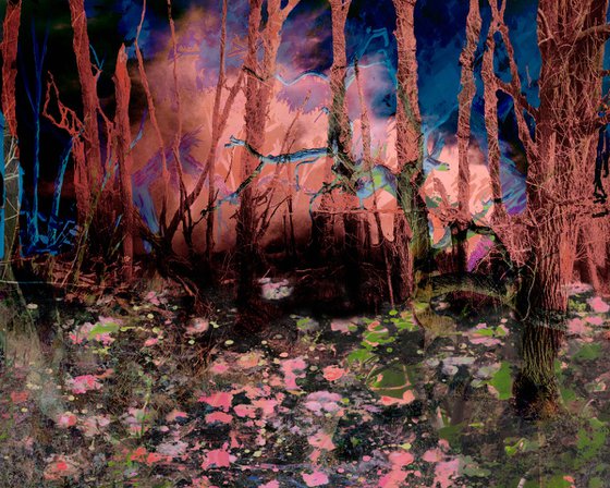 Liberation of the mind 243