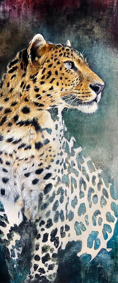 Camouflaged by Paul Hardern
