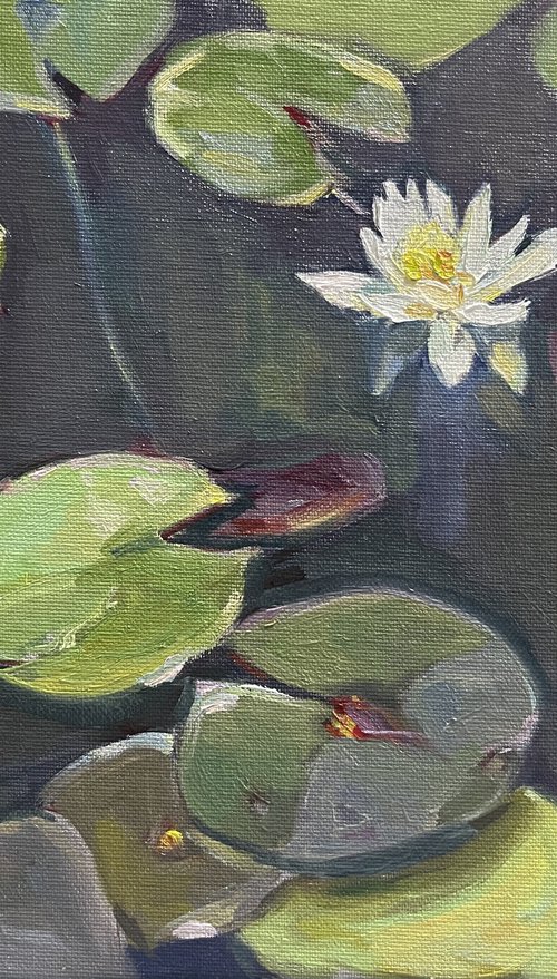 White flower . Summer pond. by Guzel Min