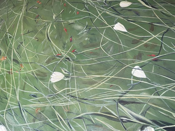 Where Wild Tulips Grow