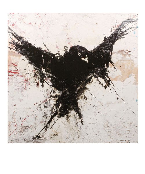 Crow by Martin Thompson