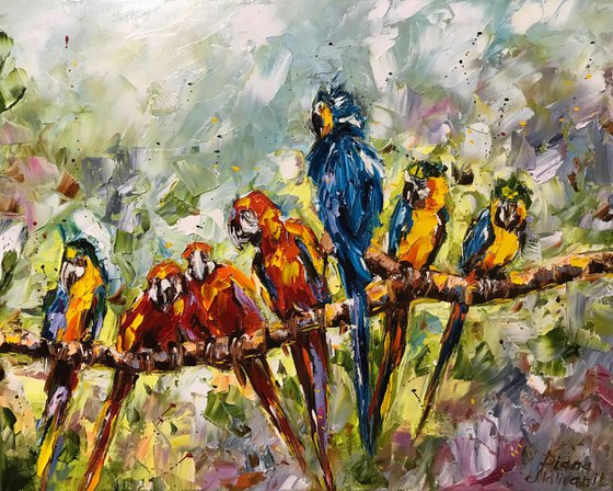 Parrots