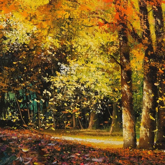 Autumn colours