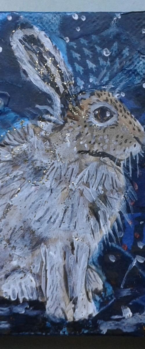 Winter hare by Fiona Plaisted